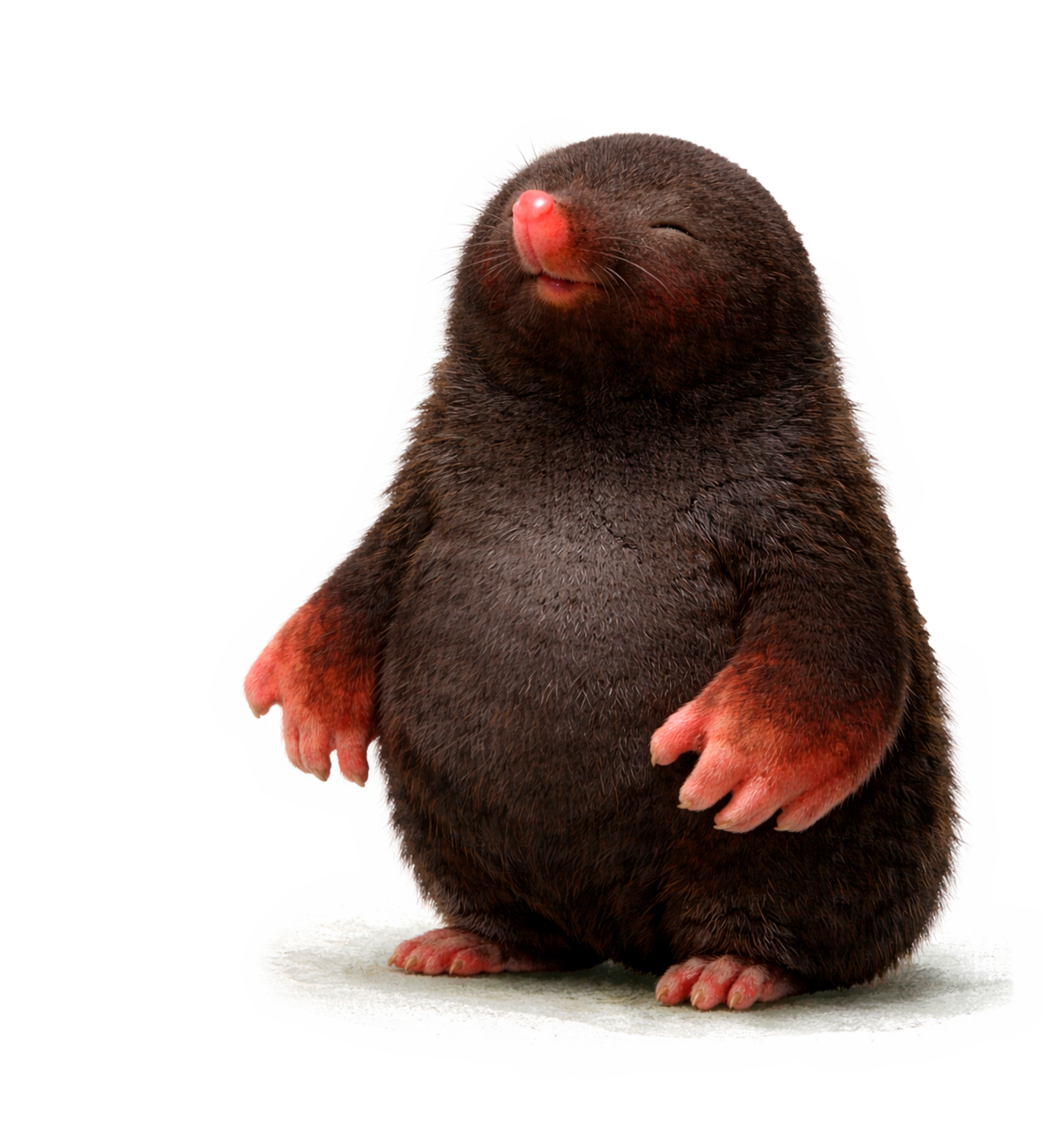 Выберите специалистов