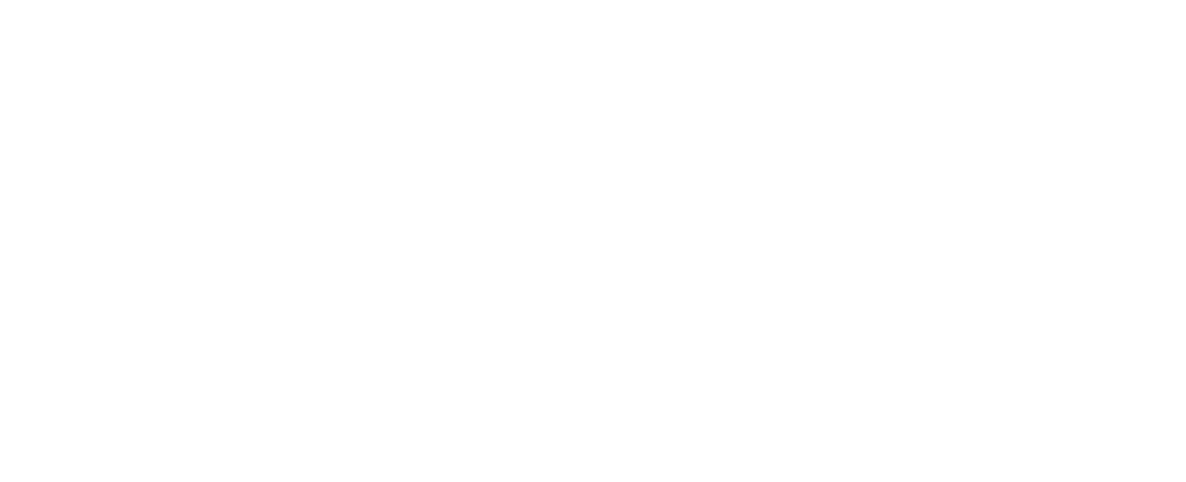 Логотип Школы Большого Физтеха