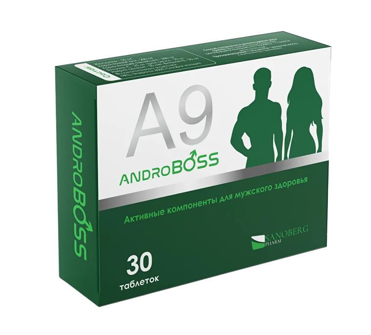 ANDROBOSS A-9