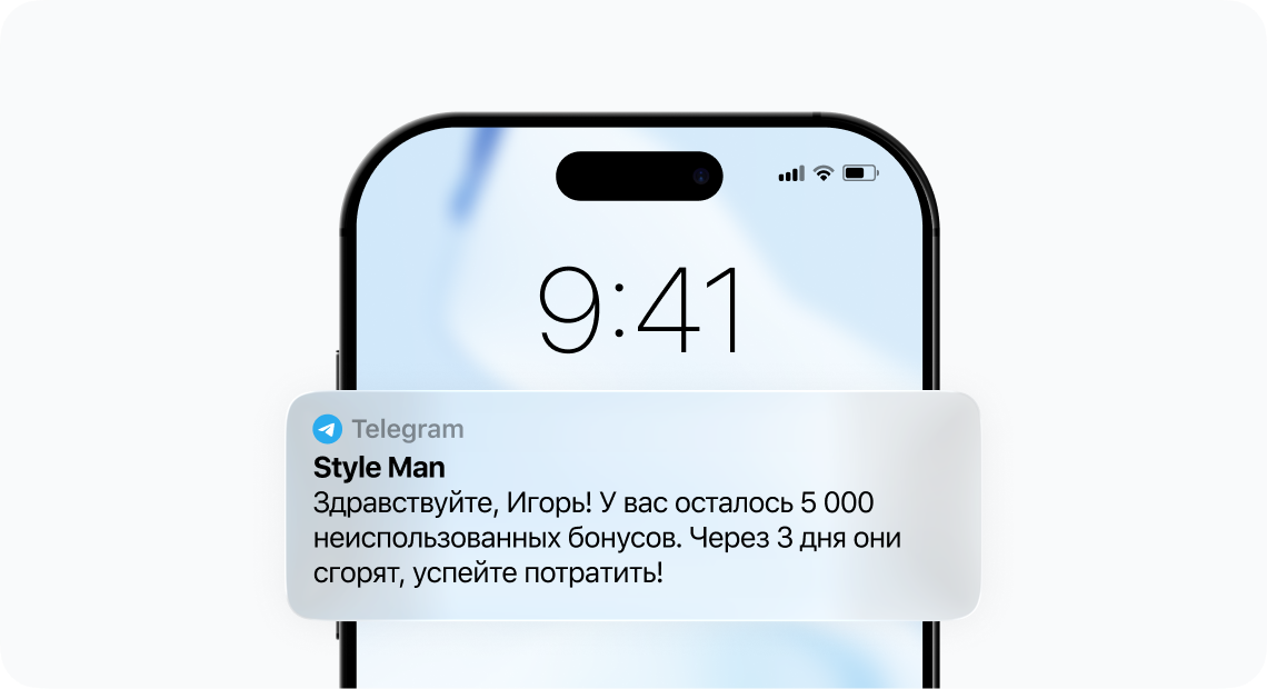 Пример сообщения о начислении бонусов в программе лояльности