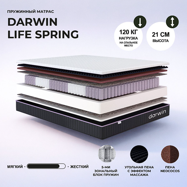 Darwin Life Spring
