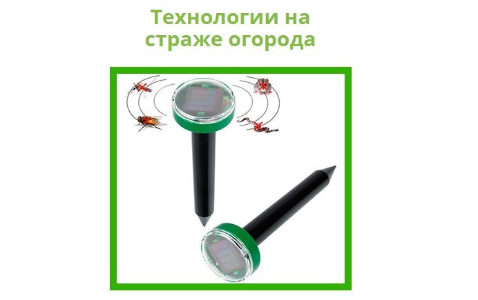 Интернет Магазин Www Dpshop Online