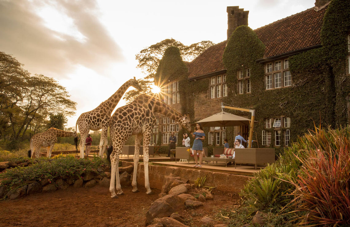 отель giraffe manor