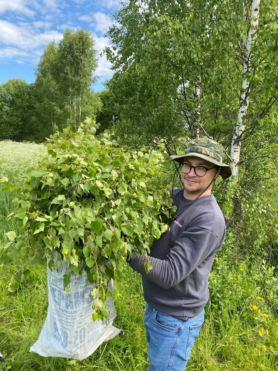 Как мы заготавливаем веники