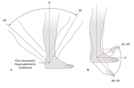 Тренажер для стабилизации и тренировки стопы Качай.нога