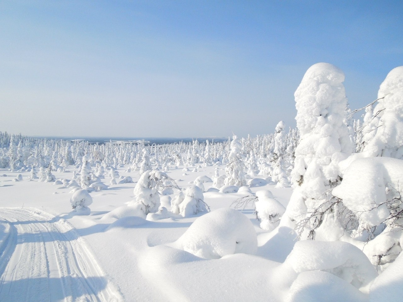 Делянка Карелия зимой