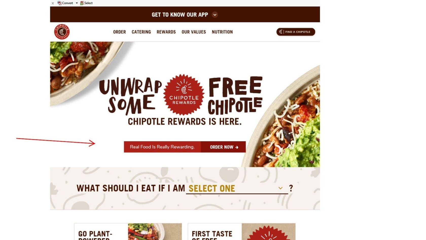 chipotle, бренд chipotle, товарный знак, как использовать товарный знак 