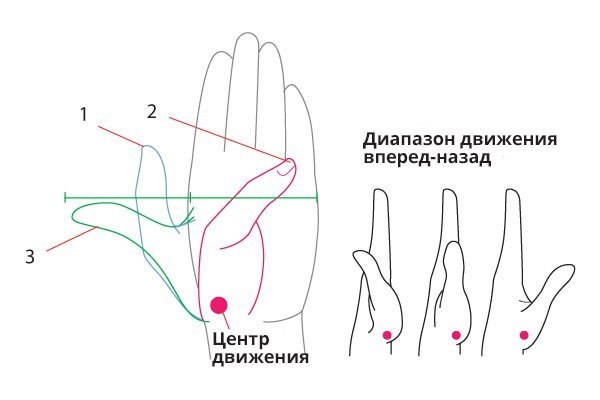 Как рисовать руки и ноги в движении: теория и практика — Гайды на DTF