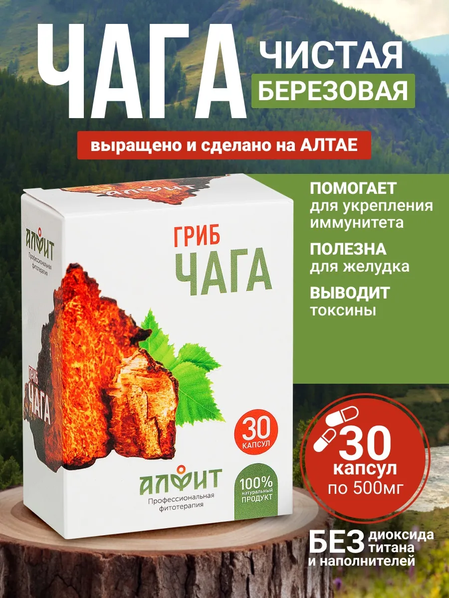 Чага березовая натуральная алтайская в капсулах