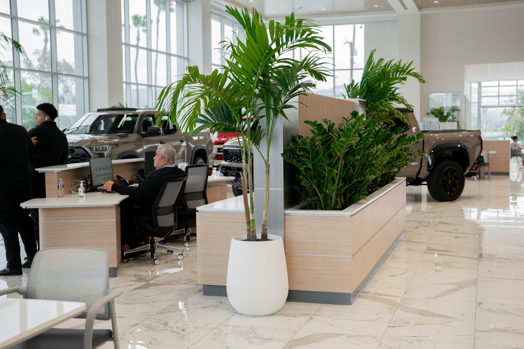 Palms and a planter box between the sales desks, Toyota of West Covina