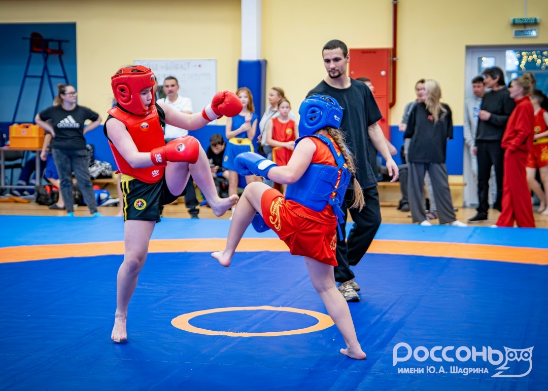 Чемпионат и первенство по Ушу Саньда Ленинградской области