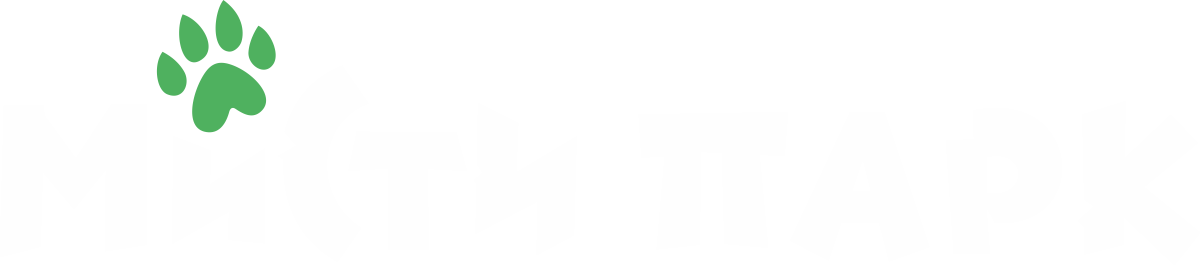 Mysty logo 2