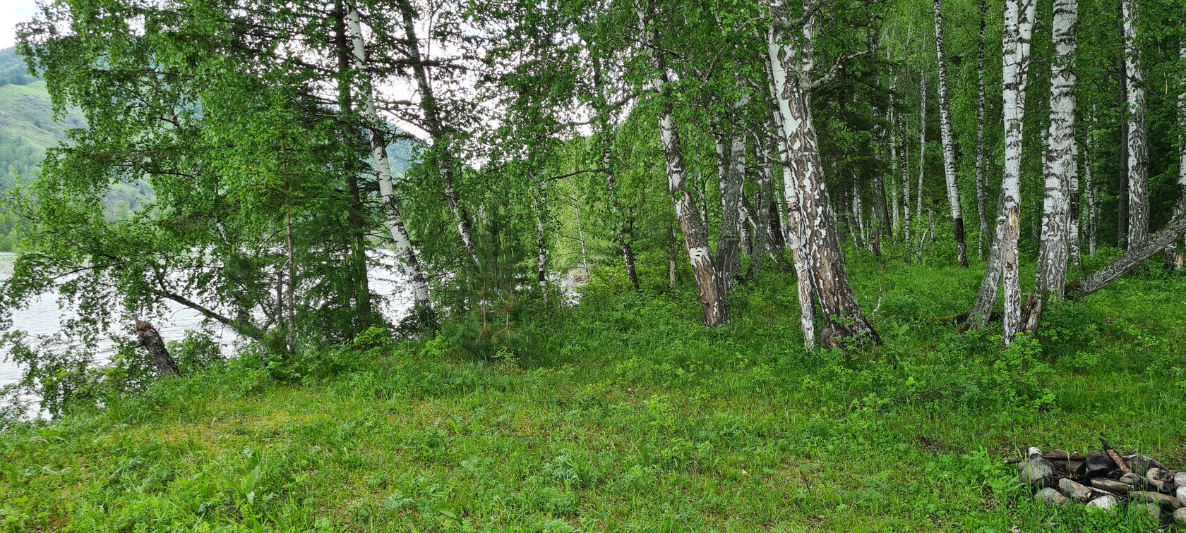 Купить Дом В Замульта Республика Алтай