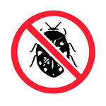 Обработка от кожеедов