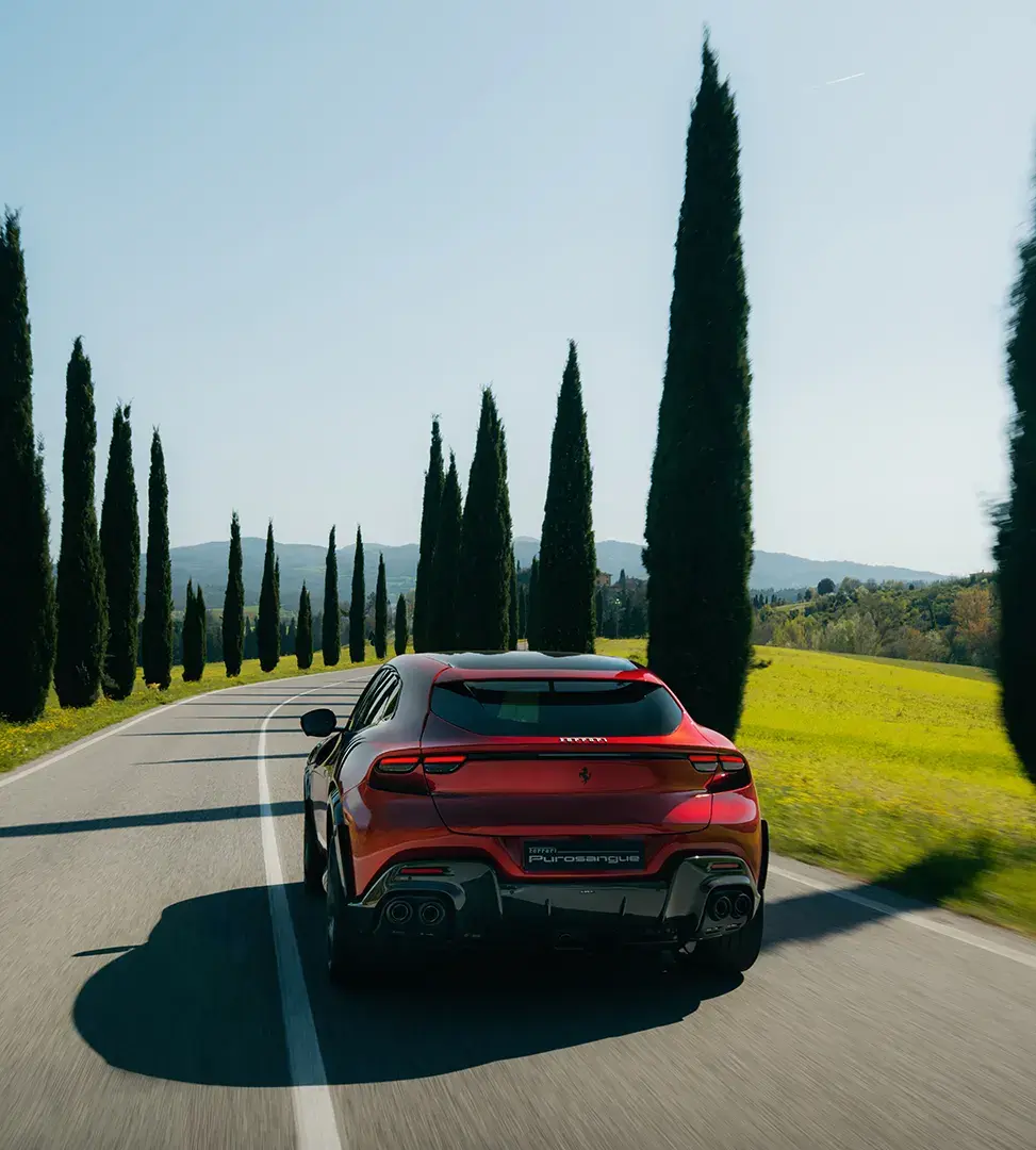 Handling Speciale