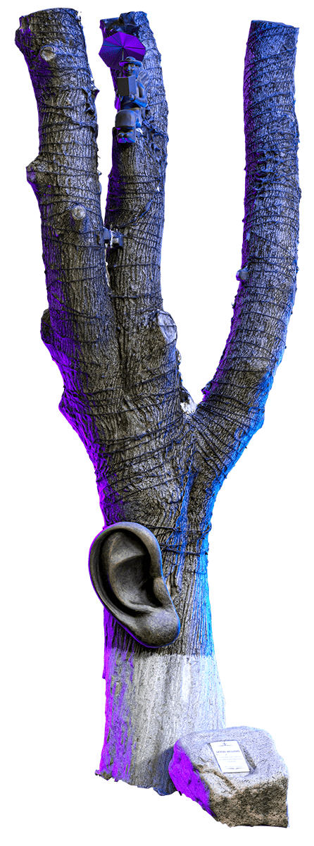 Дерево желаний, Брянская область, Брянск