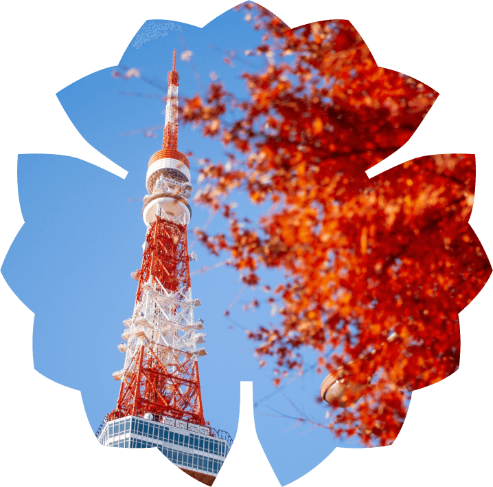 Заставка на телефон