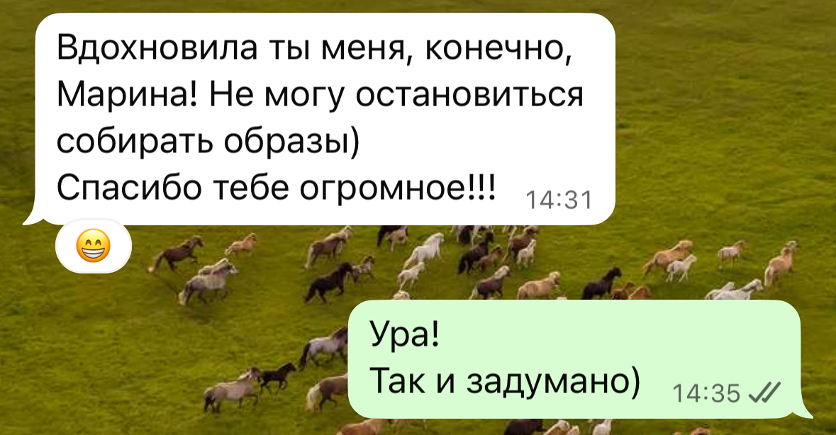 Отзыв 8