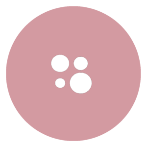 website icon