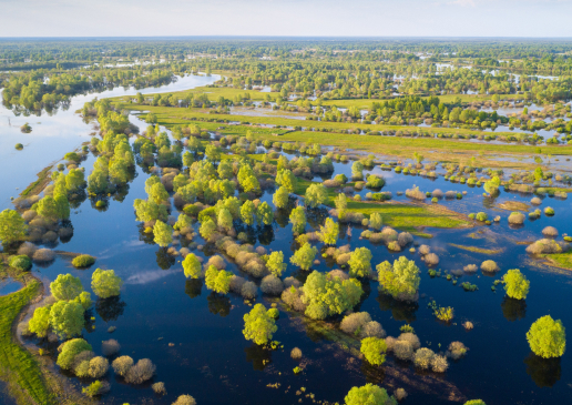 Куда поехать весной  на выходные в Беларуси?