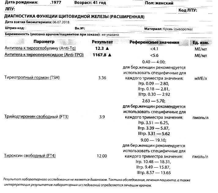 Протокол узи щитовидной железы образец