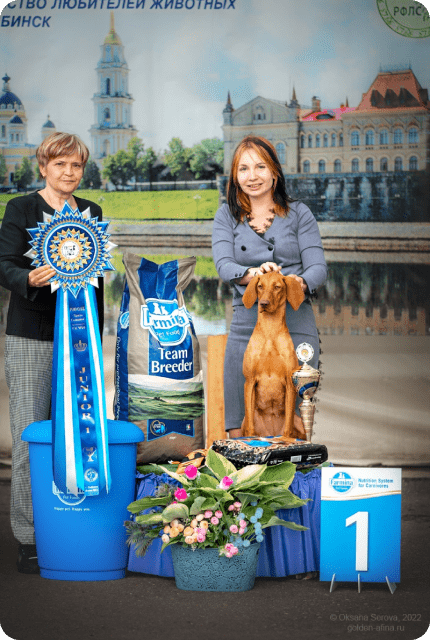 Ветеринарная клиника, ветклиника