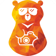 Логотип медведики экскурсии ярославль что посмотреть ярославль