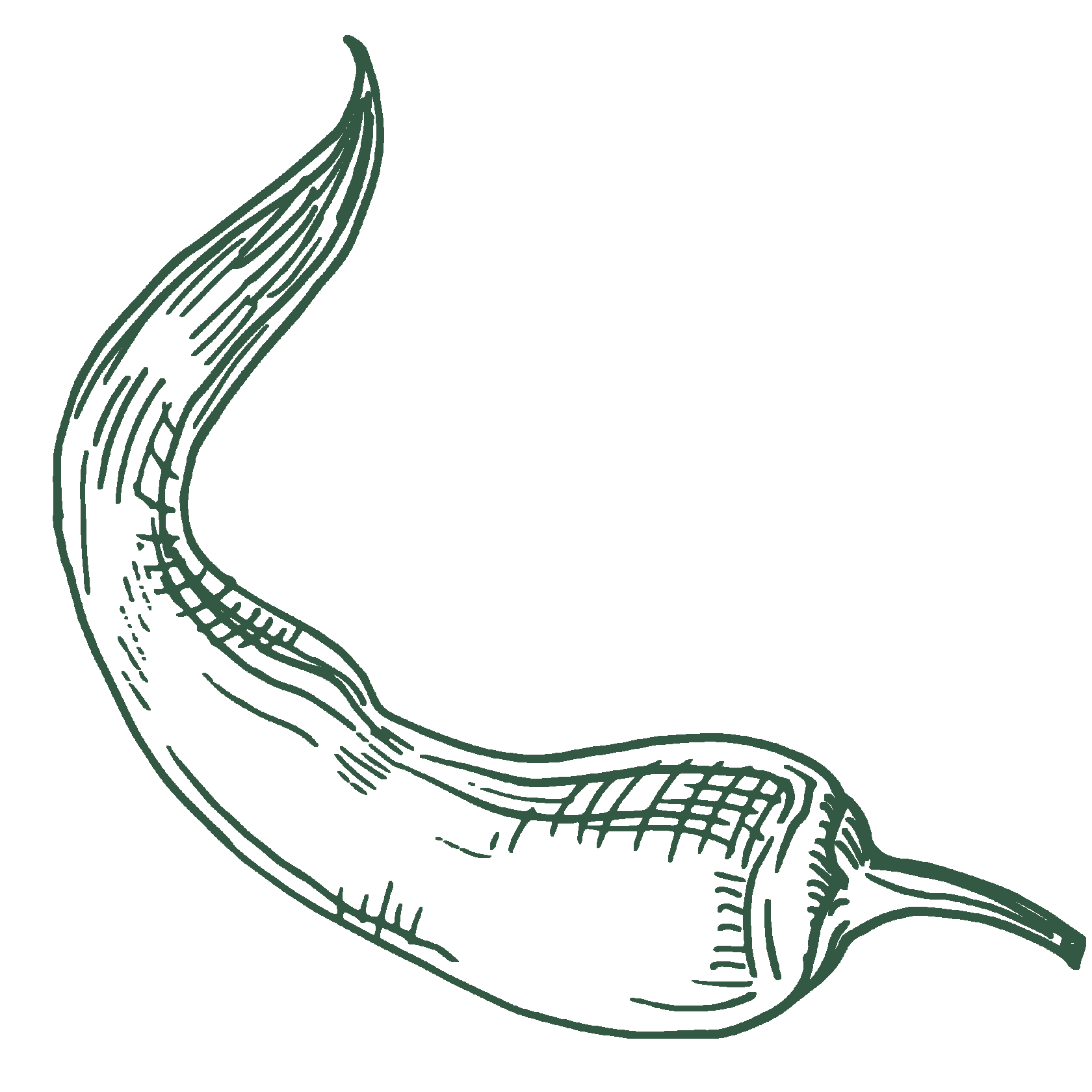 блюда из мяса рецепты, пп ужин рецепты, рецепты белковых блюд, пп рецепты рыбы, мясо пп рецепты, рецепты белковых блюд для похудения, рецепты волкова, диета волкова