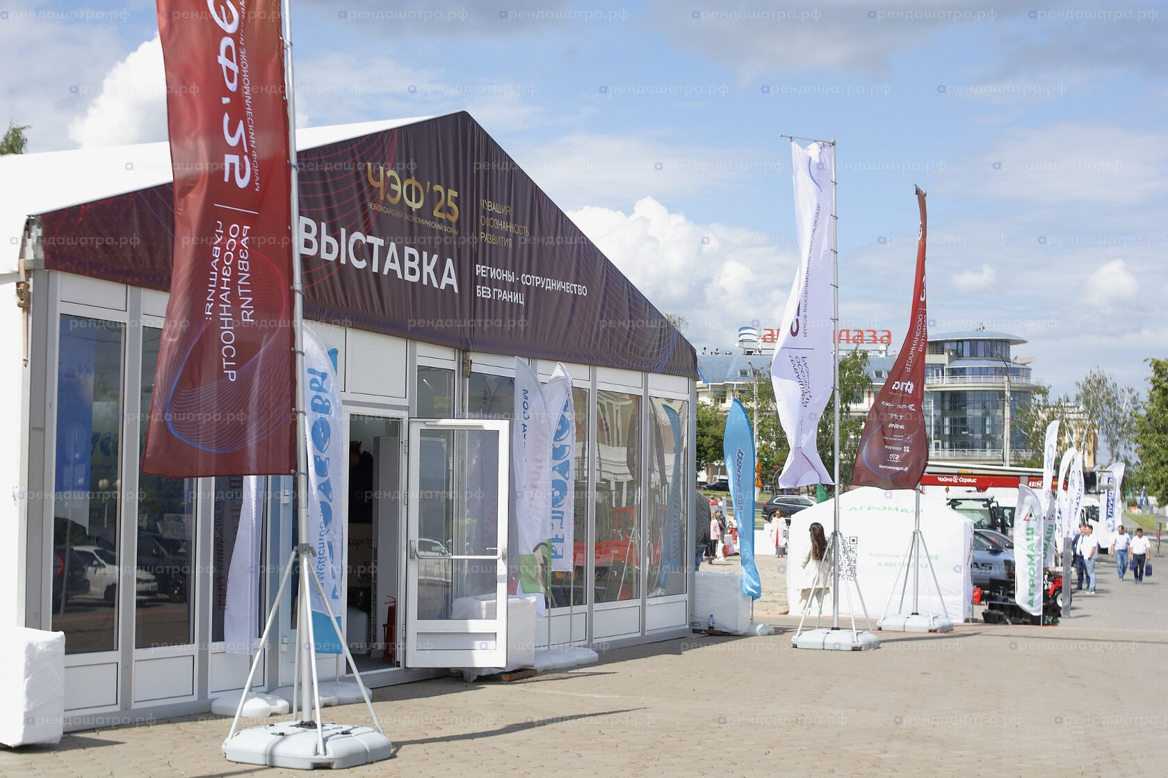15-й Чебоксарский экономический форум&nbsp;(ЧЭФ-2025) в Чебоксарах, фото&nbsp;5