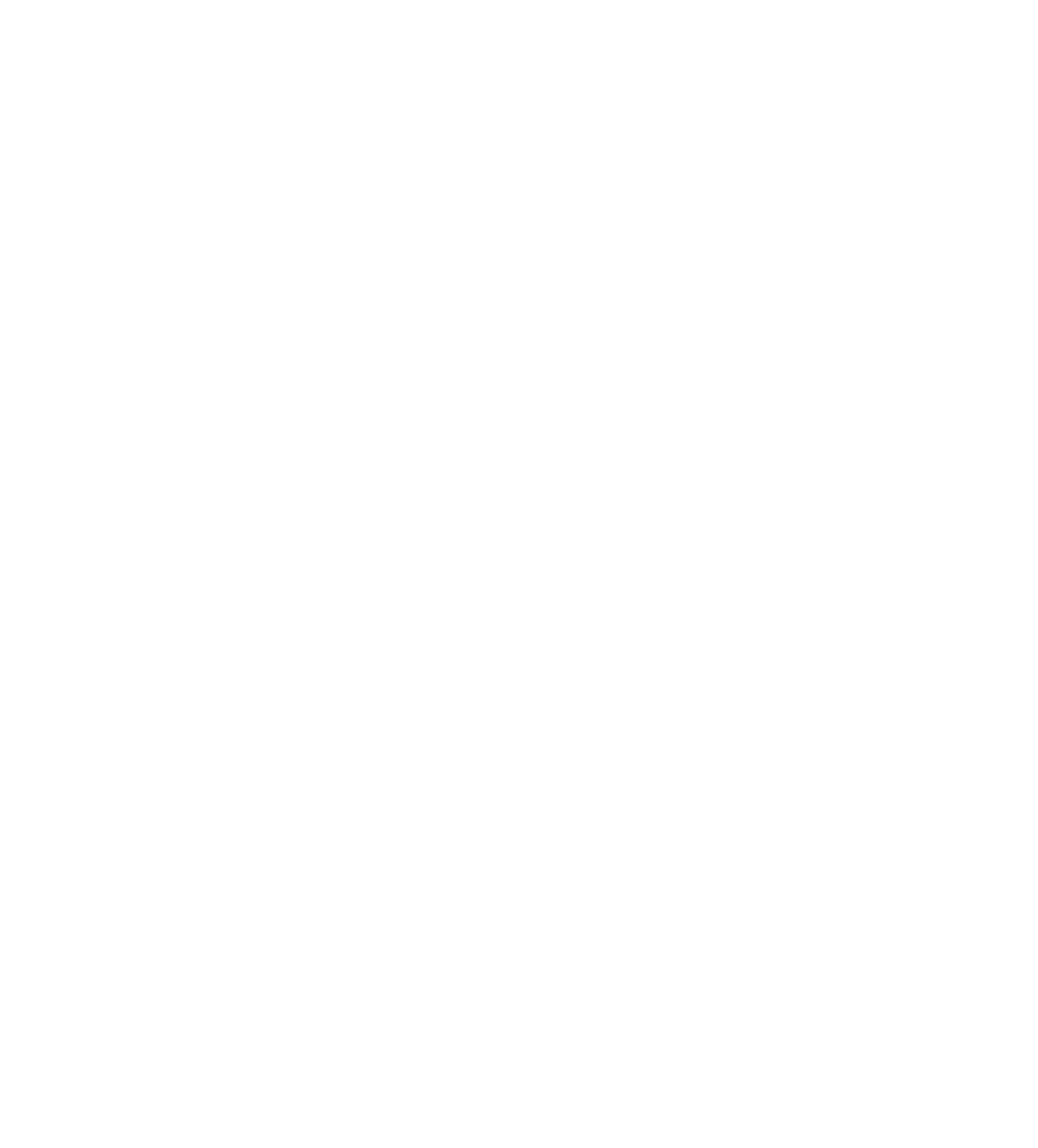  NaviSync 