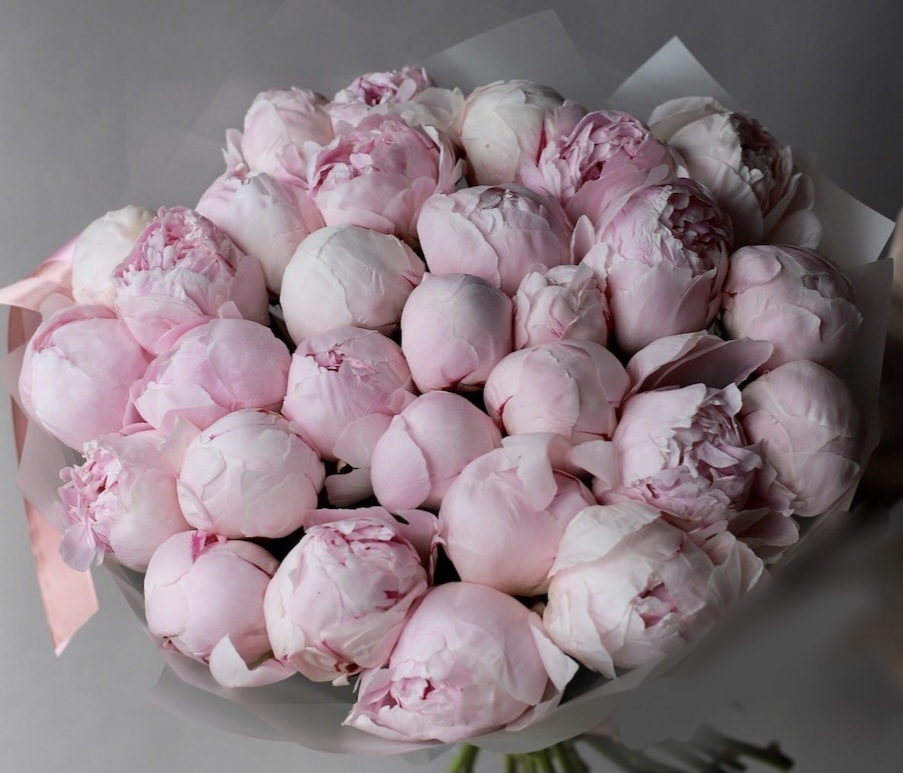 годовщина свадьбы - подари жене пионы 