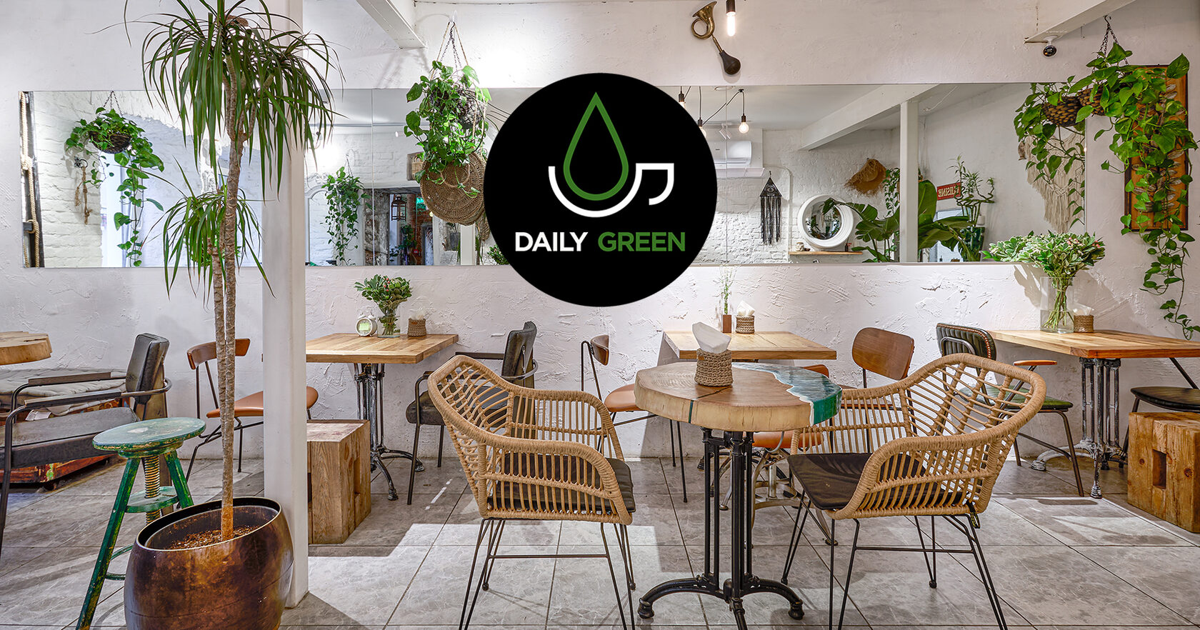 DAILY GREEN