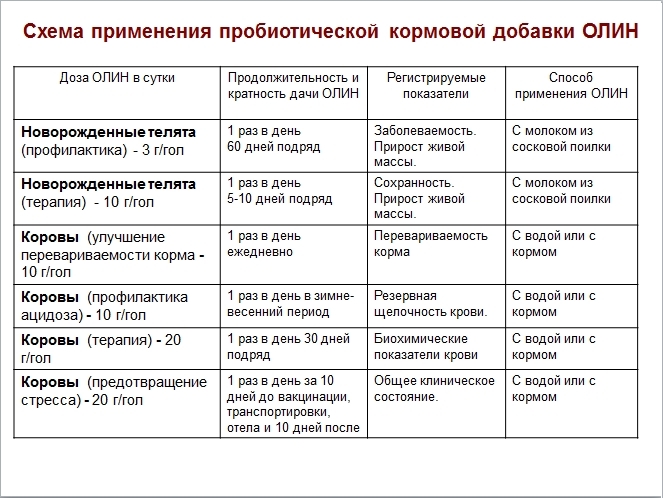 Лечение дисбактериоза кишечника у взрослых препараты схема