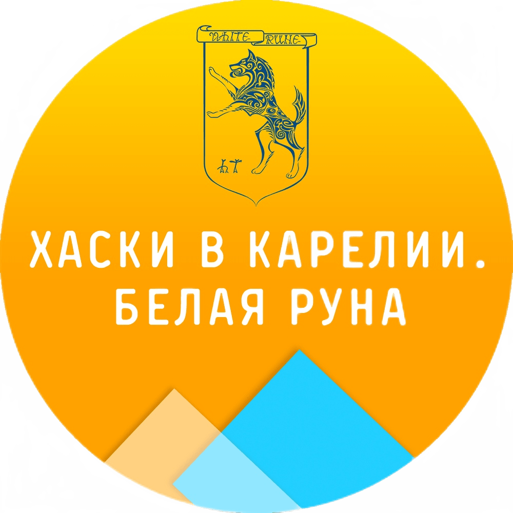 Белые руны питомник. Белая руна Карелия хаски. Питомник хаски белая руна Карелия. Питомник хаски белая руна. Питомник хаски в Карелии Сортавала белая руна.