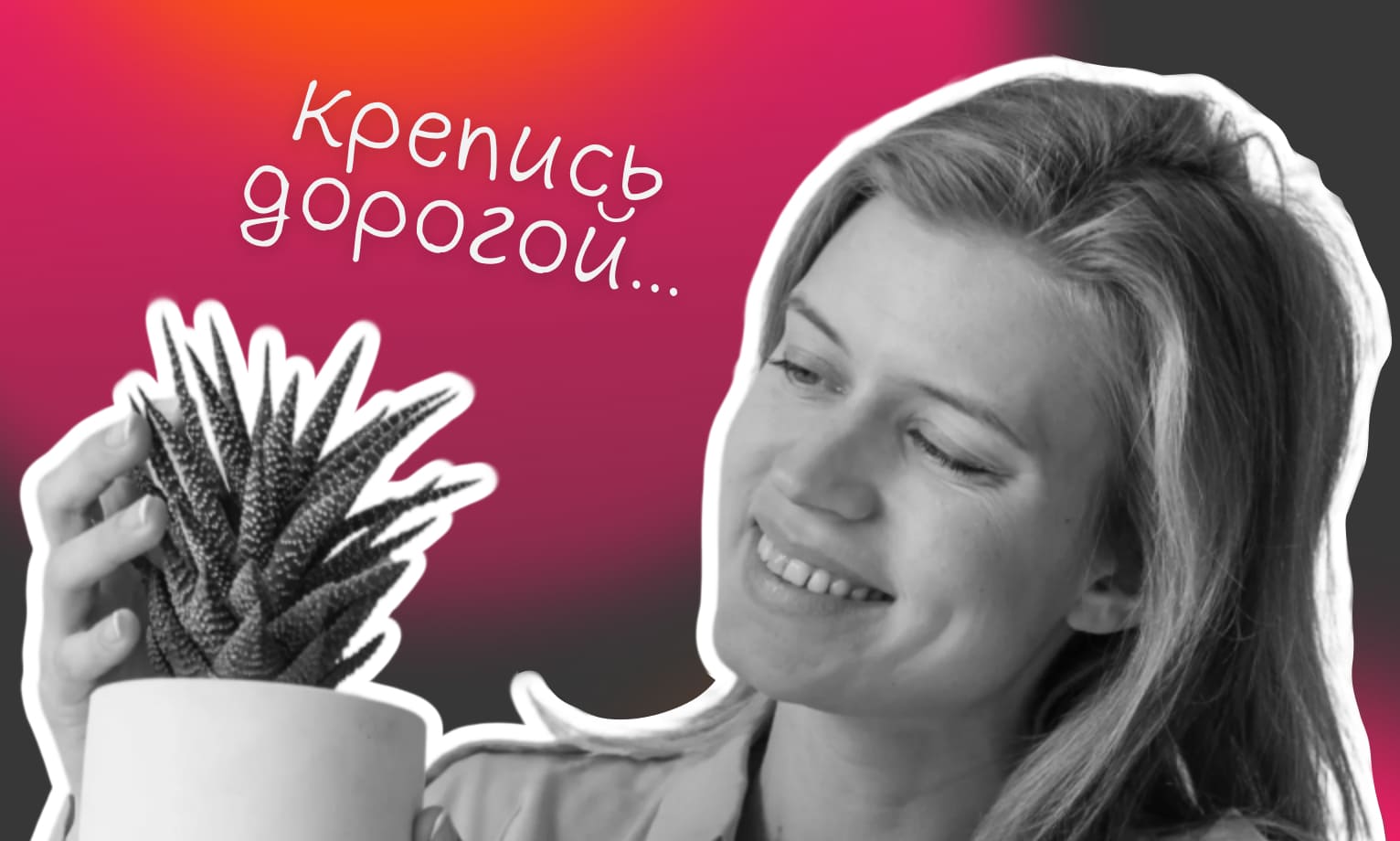 Как подготовить растения к перевозке - Достависта Блог
