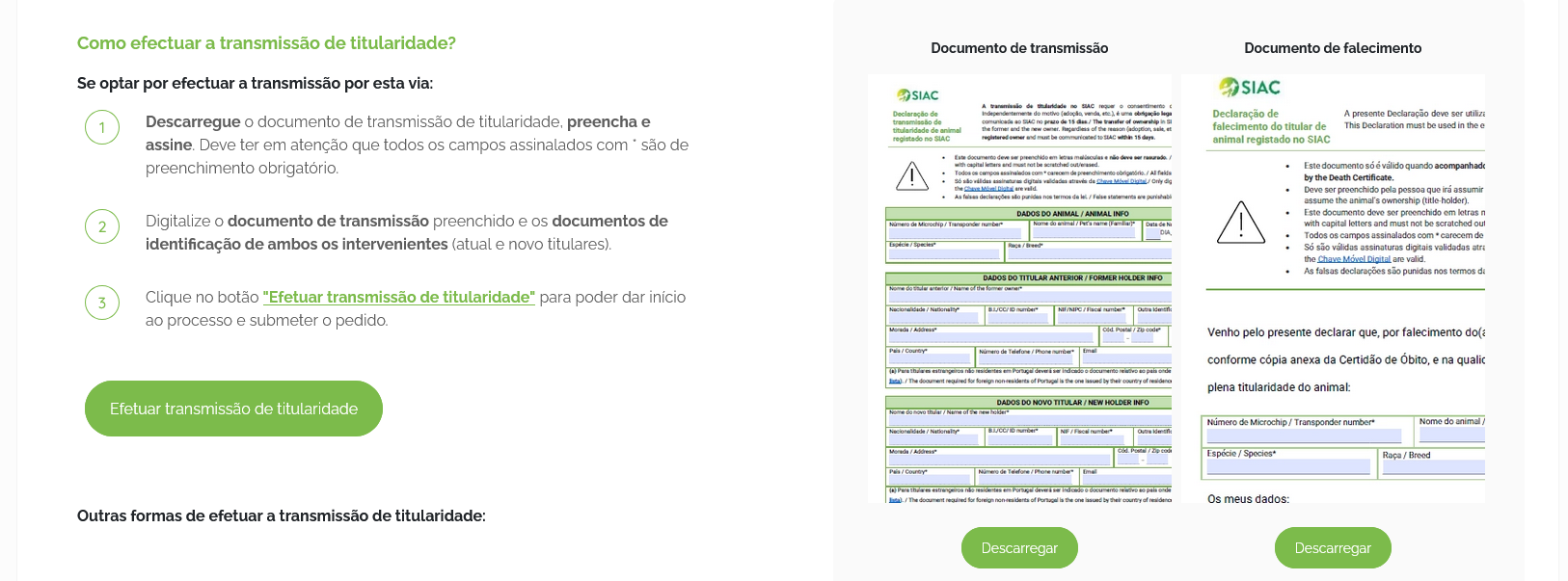 с кем остается животное после развода