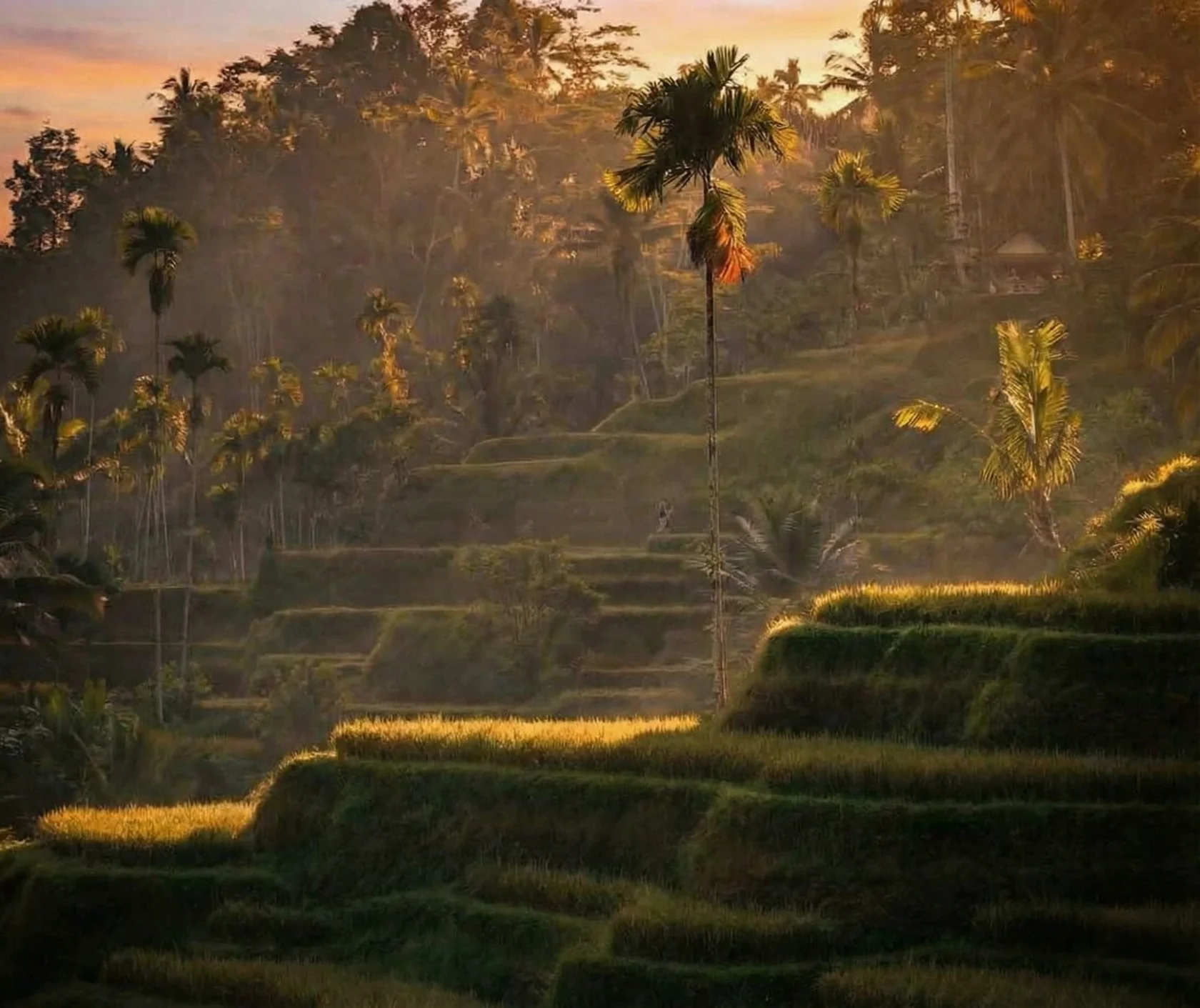 Golden sunrise over traditional rice terraces in Ubud, Bali, showcasing serene landscapes and popular things to do in Ubud for nature and culture lovers.