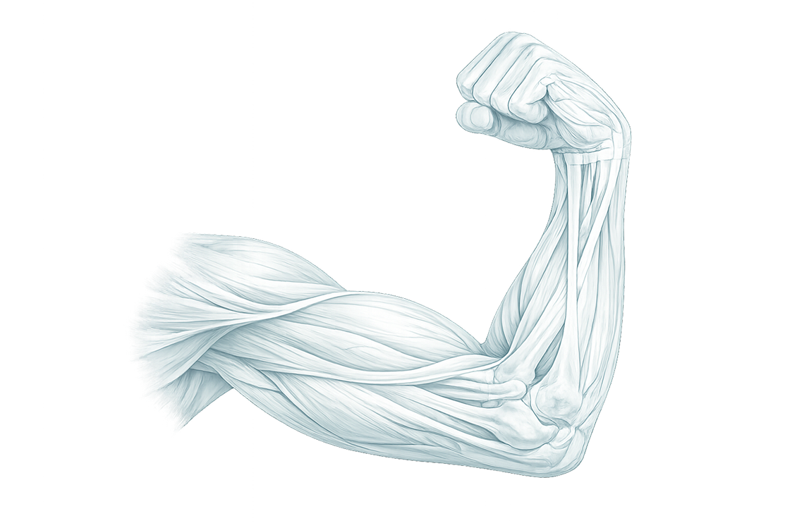 Эндопротезирование локтевого сустава — схема операции