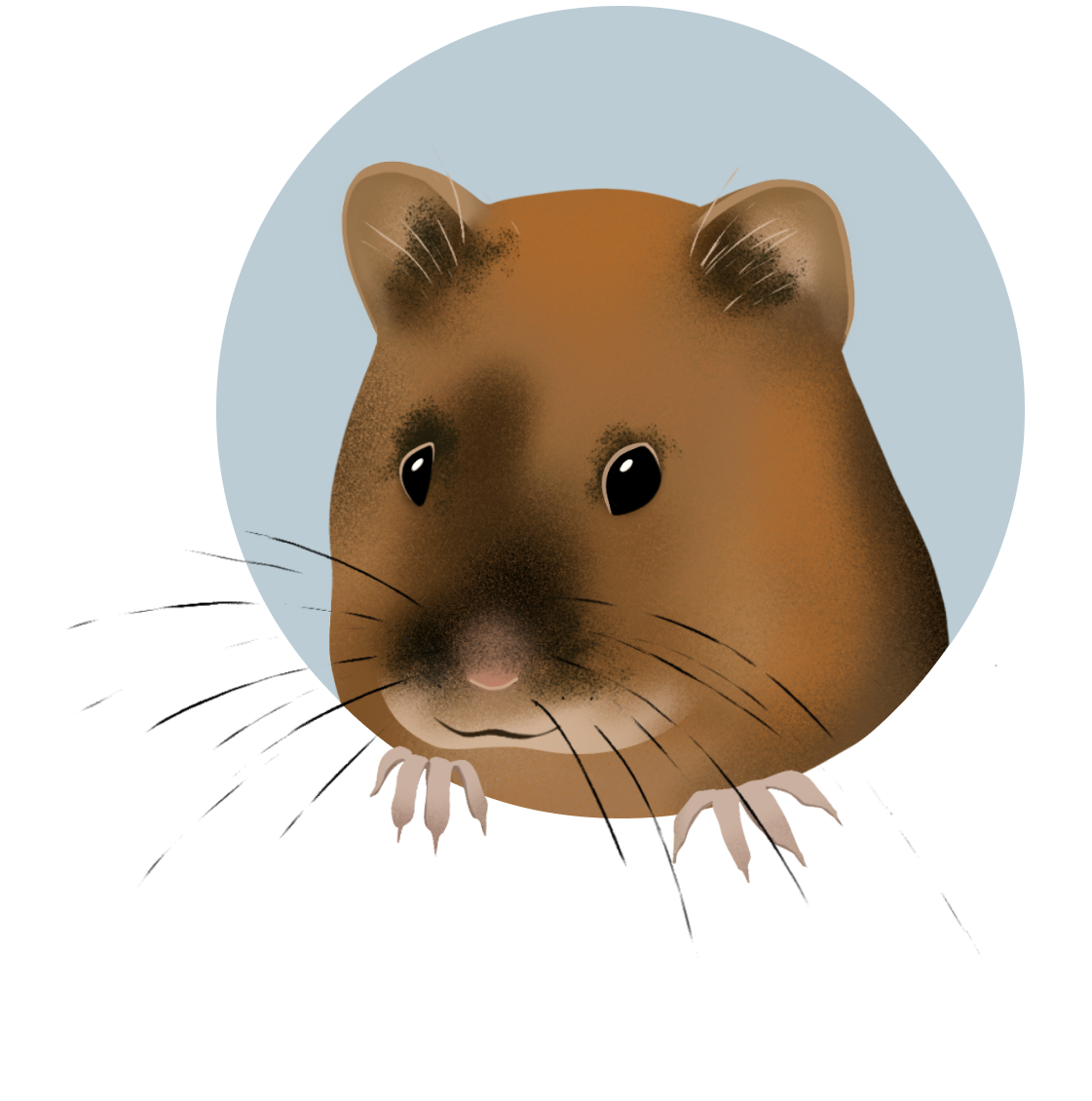 43 особи исчезающей ольхонской полёвки вывели в⦁лаборатории и⦁вернули в⦁естественную среду обитания.