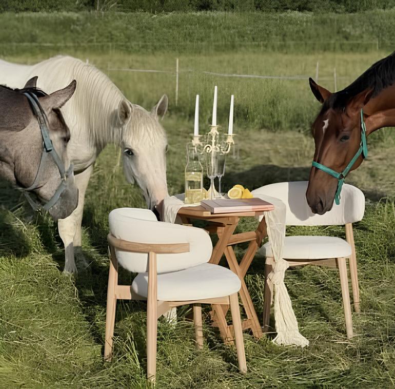 стулья для кафе и ресторанов, баров