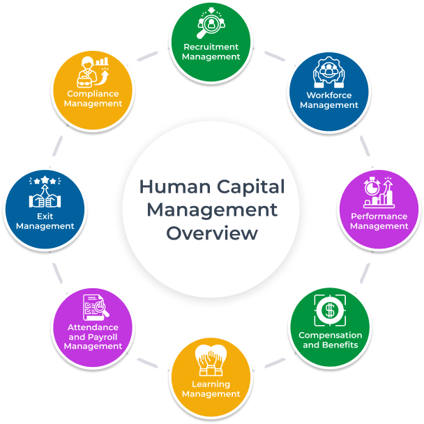 How Does Human Capital Management Hcm Work Cleverlms 8110