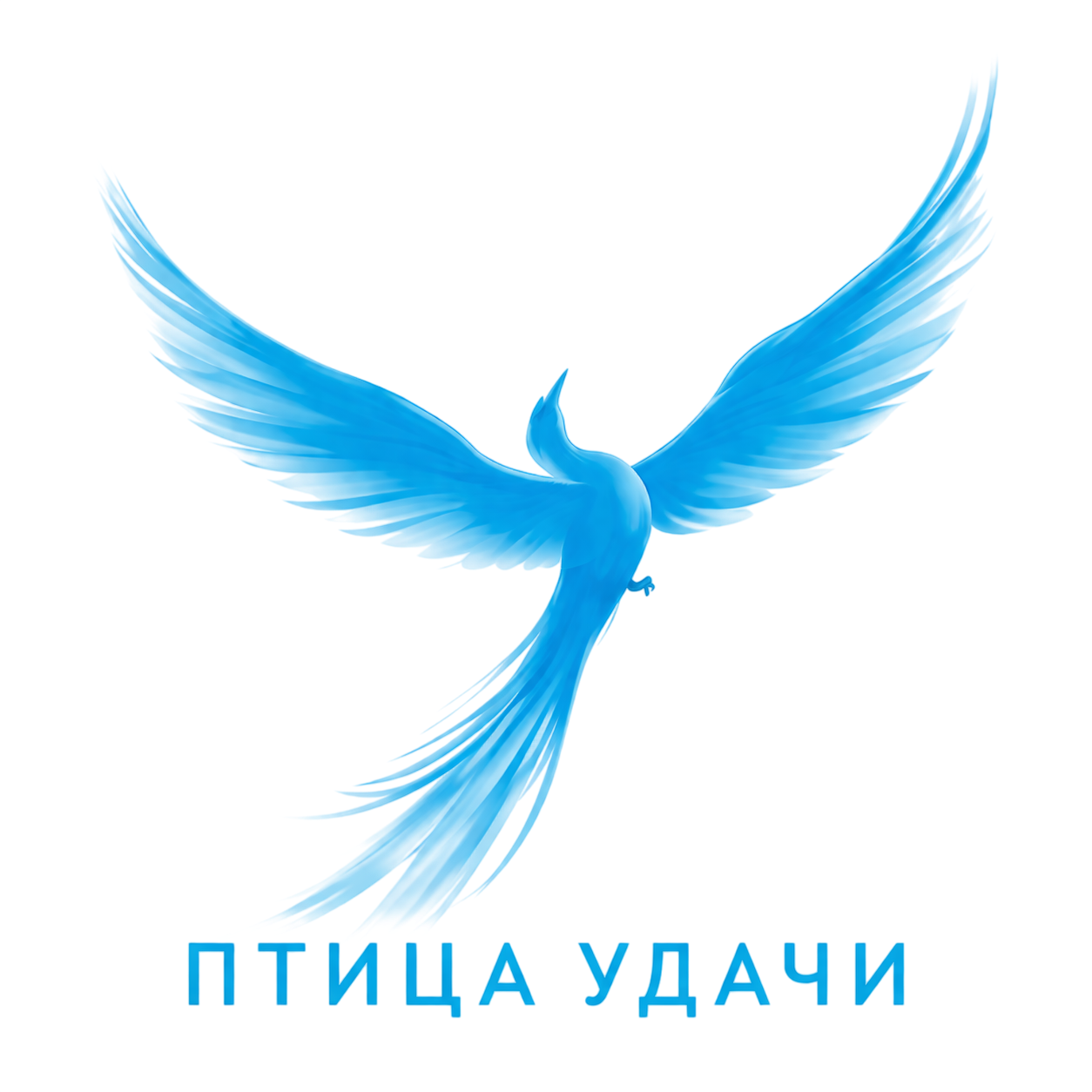 СИНЯЯ ПТИЦА