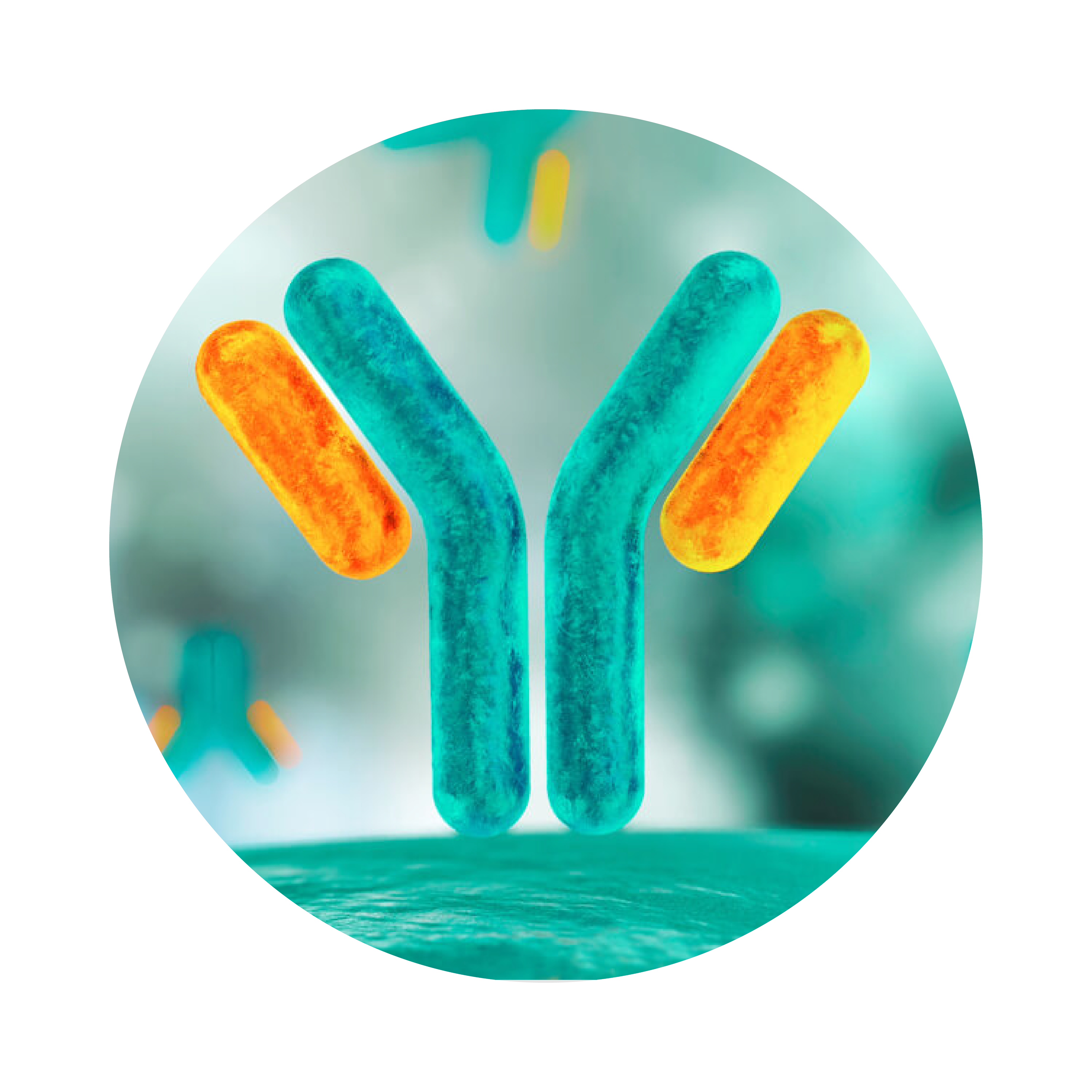 Научный проект по иммунологии при поддержке Федерального научно ...