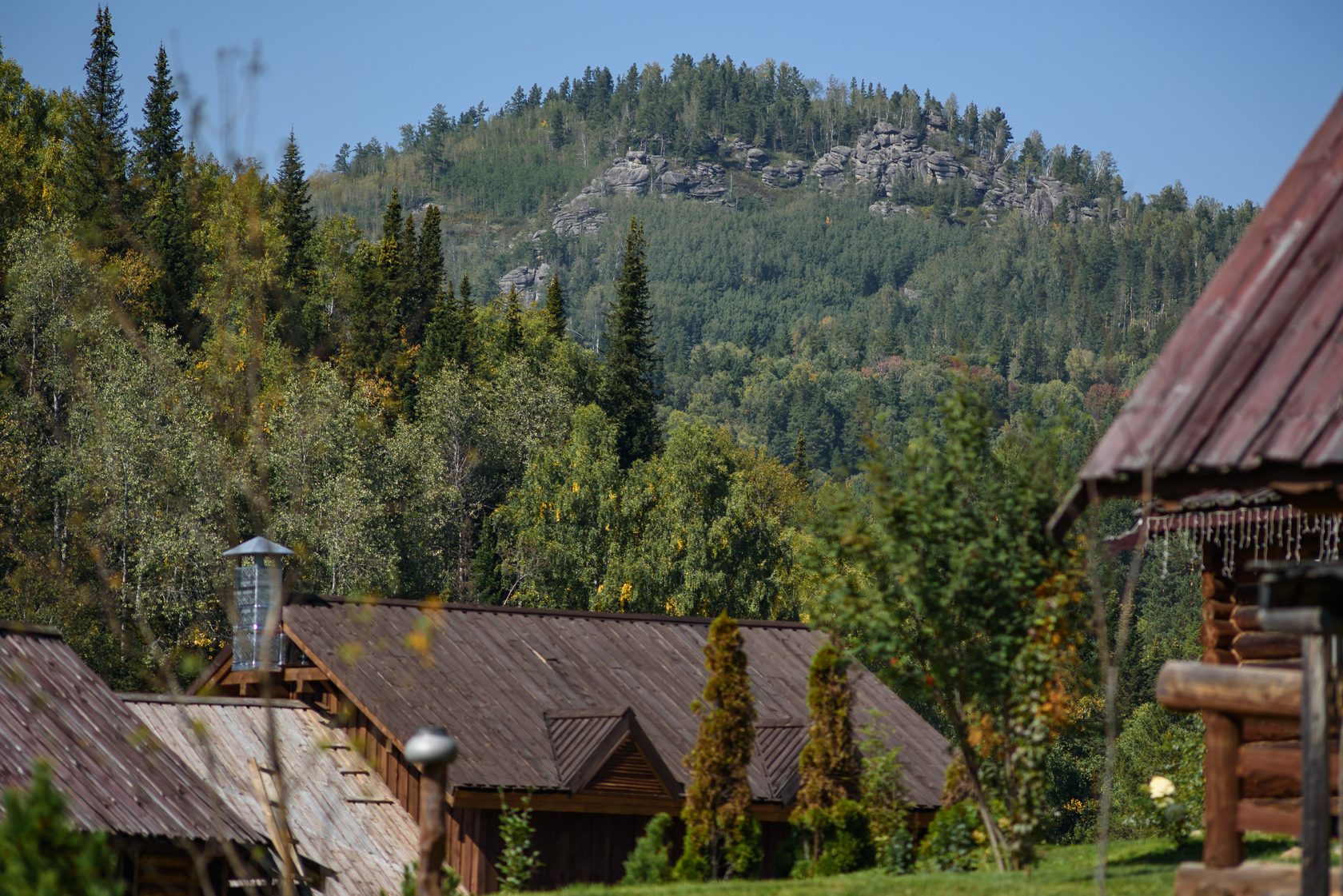 Лесная заимка фото