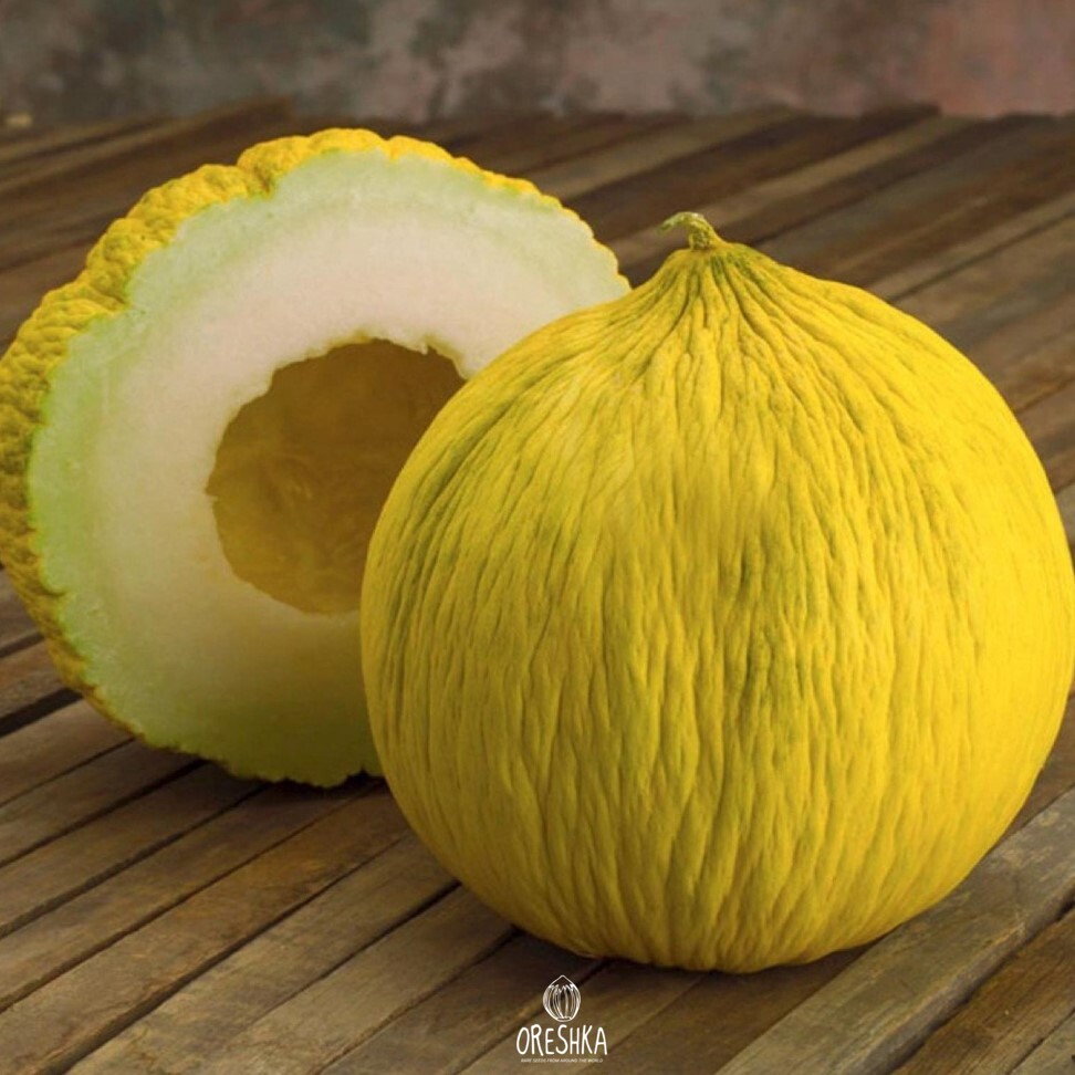 Seeds of Fig melon (Cucumis melo) — 10 pcs