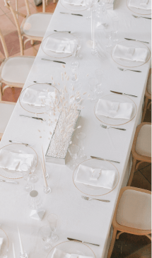 Neponaroshky-wedding-svadba-krym