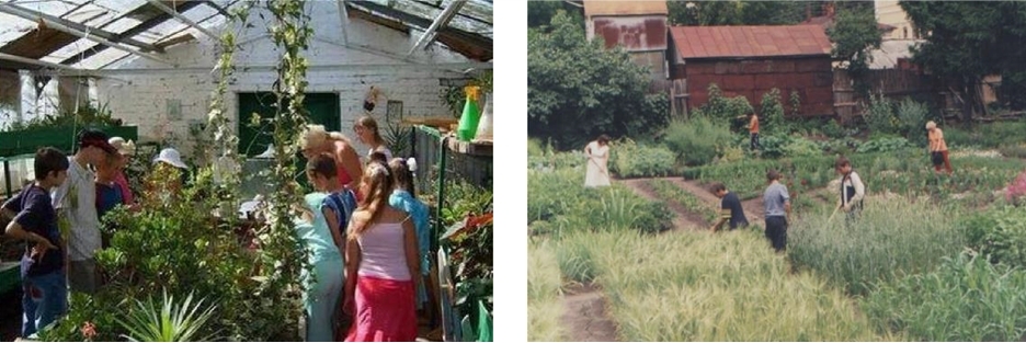Областная станция юных натуралистов: теплица (слева), учебно-опытный участок (справа)