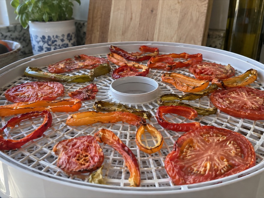 Sliced vegetables drying on a dehydrator tray for long storage