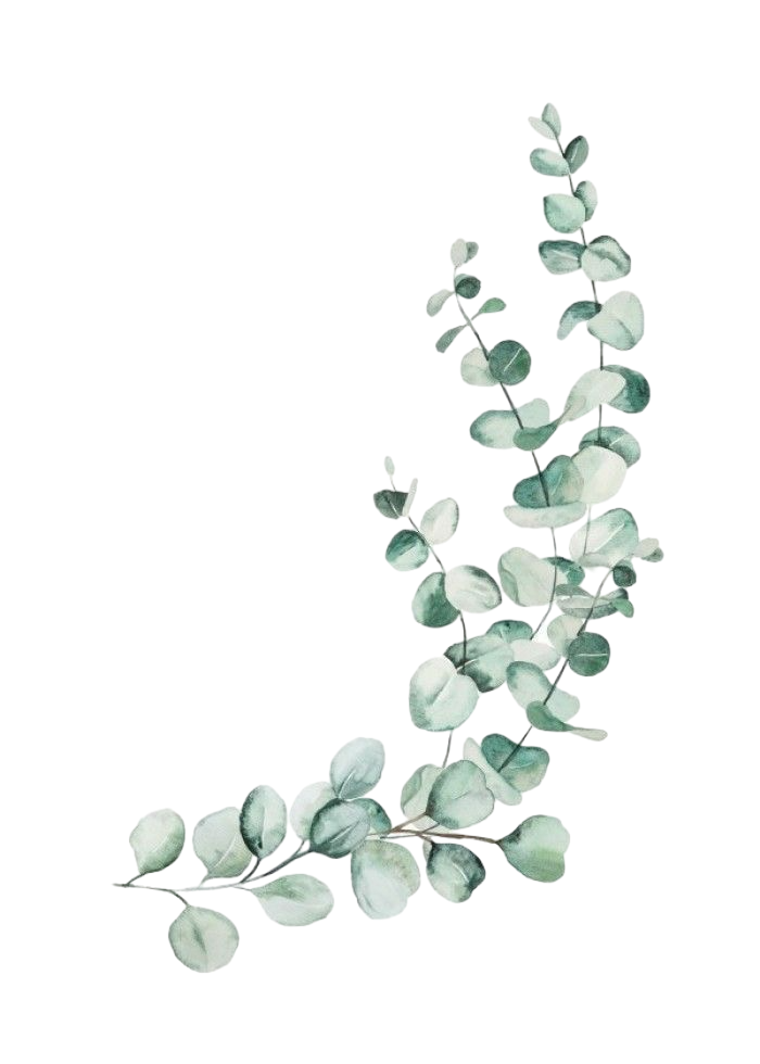 Студия цветов House of Flowers в Жуковском