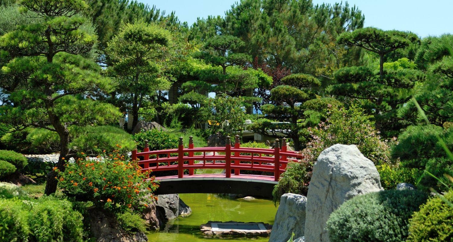 The Japanese garden | Signature Charter
